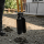 Cat Dołownik k-series posthole digger - 1604200 - zdjęcie 3